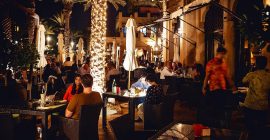 Trader Vic’s, Souk Madinat Jumeirah photo - Coming Soon in UAE   