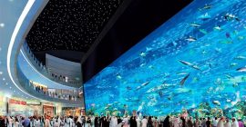 Dubai Mall photo - Coming Soon in UAE   