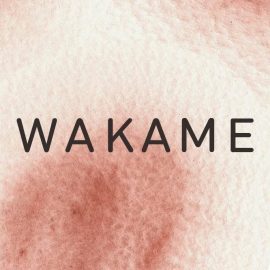 Wakame - Coming Soon in UAE   