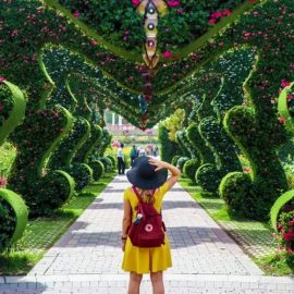 Dubai Miracle Garden - Coming Soon in UAE   