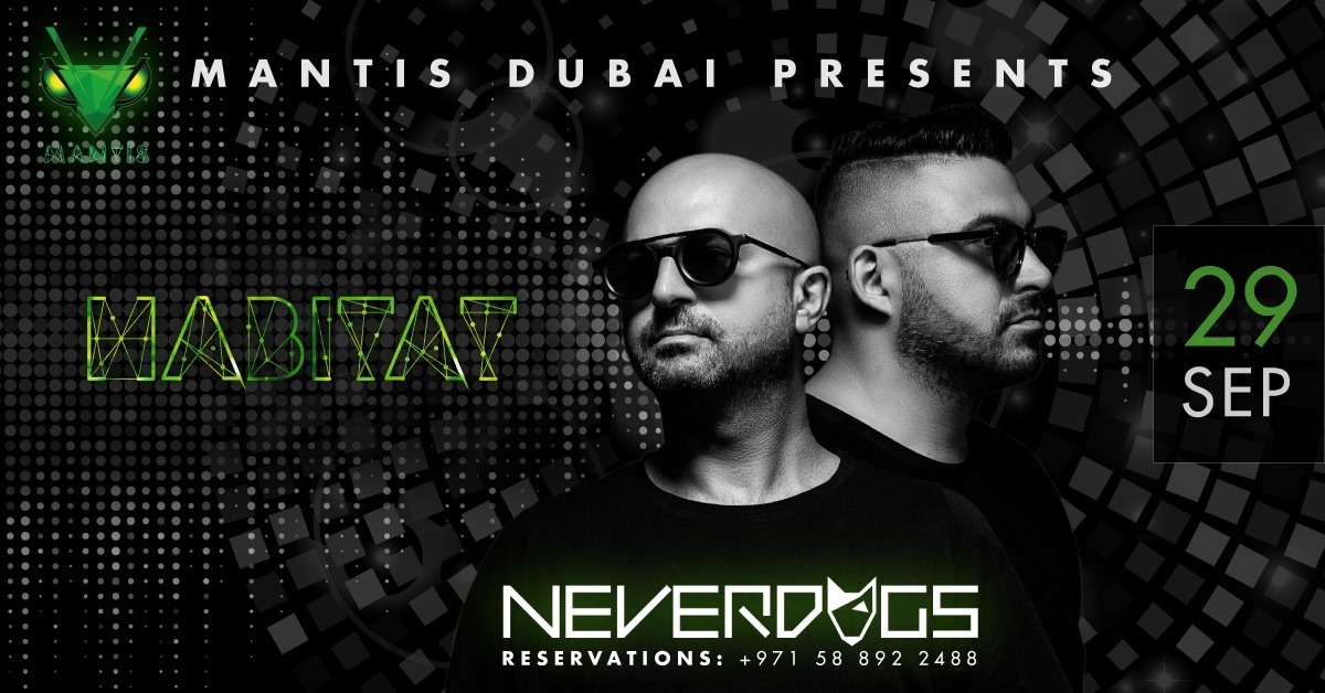 Neverdogs at Mantis - Coming Soon in UAE   