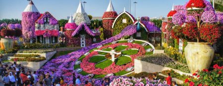 Dubai Miracle Garden 2023-2024 - Coming Soon in UAE   