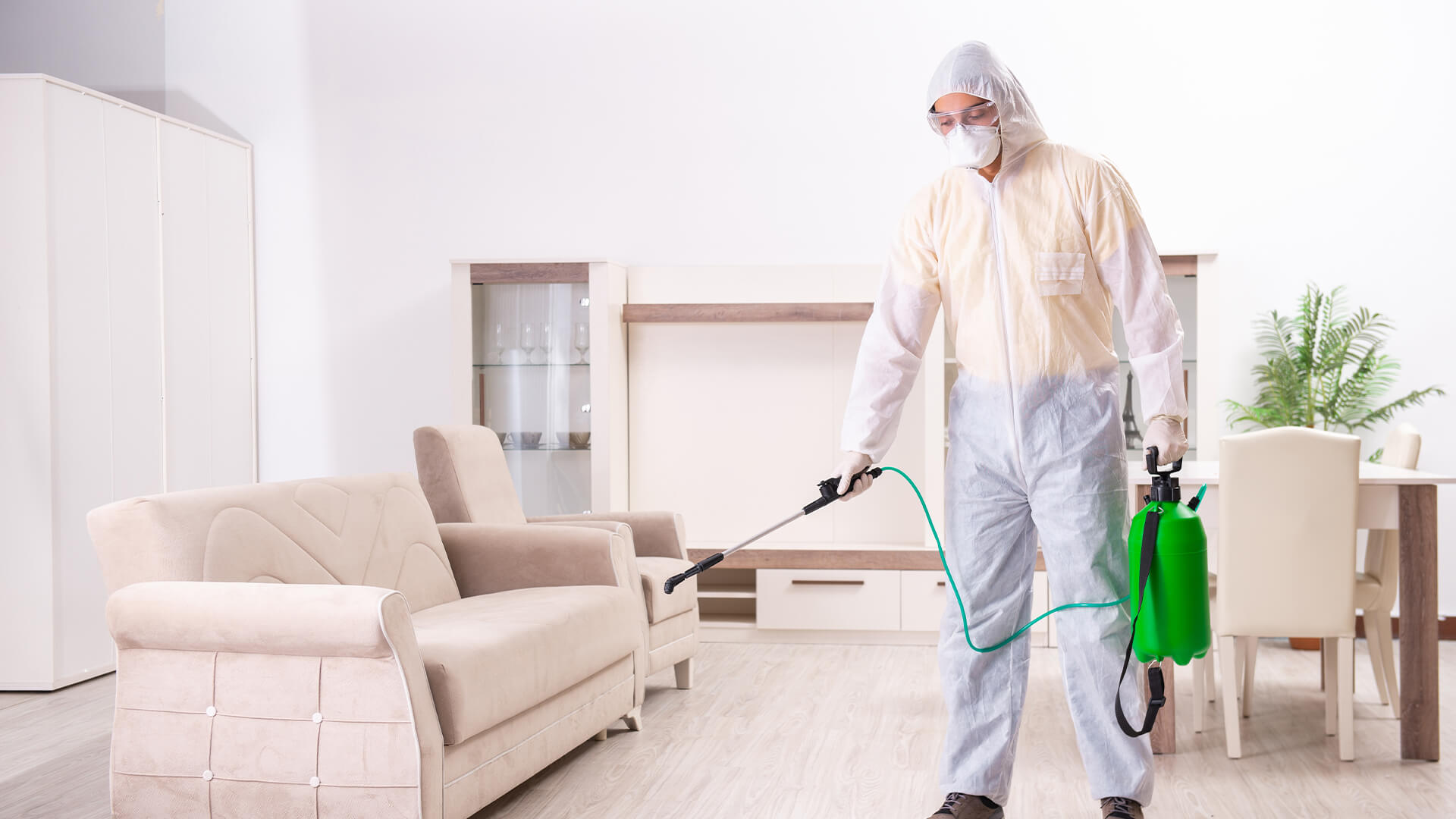 Free House Disinfection - Coming Soon in UAE   