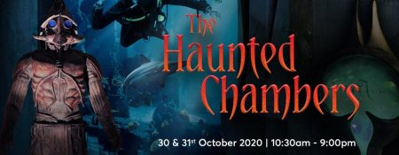 Halloween Special: The Haunted Chambers - Coming Soon in UAE   