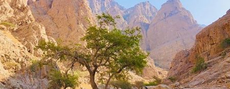 Hiking at Shamal Village - Coming Soon in UAE   