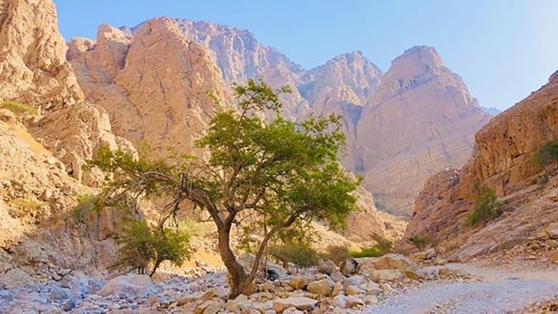 Hiking at Shamal Village - Coming Soon in UAE   