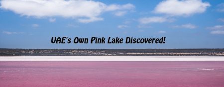 Hidden places of UAE: Pink Lake - Coming Soon in UAE   