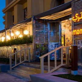 Mango Tree - Coming Soon in UAE   