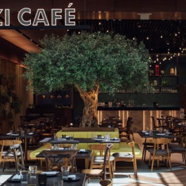 Farzi Cafe, Mall of the Emirates - Coming Soon in UAE   