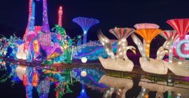 Dubai Garden Glow photo - Coming Soon in UAE   