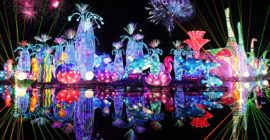 Dubai Garden Glow photo - Coming Soon in UAE   