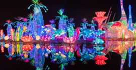 Dubai Garden Glow photo - Coming Soon in UAE   