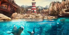 SeaWorld Abu Dhabi photo - Coming Soon in UAE   