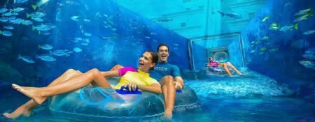 Visit Dubai Aquaventure Waterpark - Coming Soon in UAE   