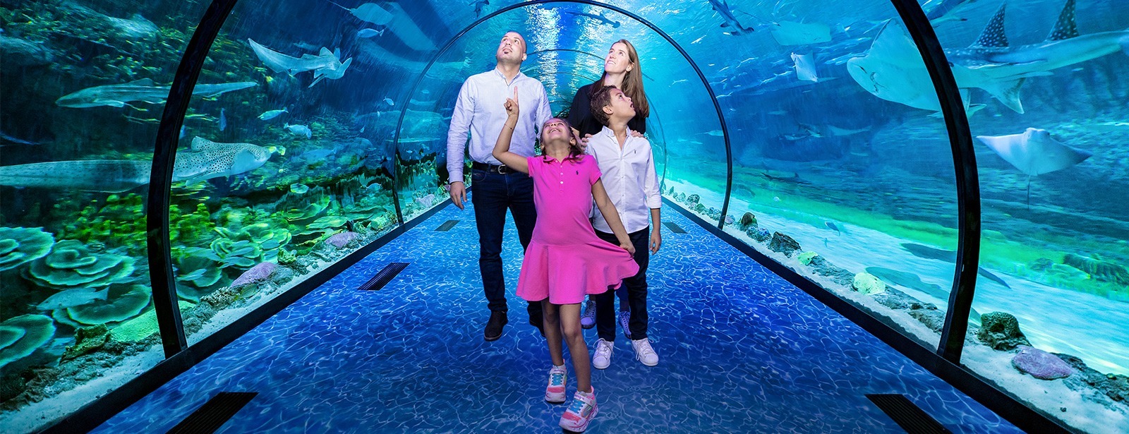 Visit The National Aquarium Abu Dhabi - Coming Soon in UAE   