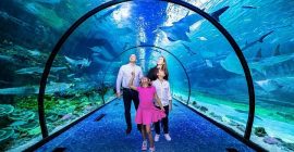 The National Aquarium Abu Dhabi photo - Coming Soon in UAE   