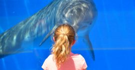 The National Aquarium Abu Dhabi photo - Coming Soon in UAE   