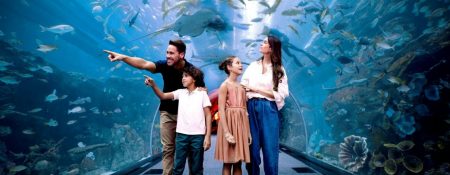 Dubai Aquarium & Underwater Zoo – Ultimate Experience - Coming Soon in UAE   